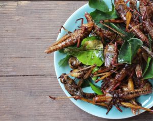 Header-Artikel: Ein Teller mit frittierten Heuschrecken