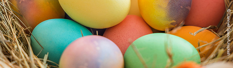 Großaufnahme von bunten Eiern in einem Osternest